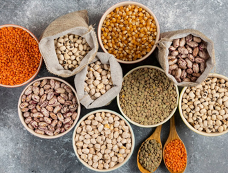 Seed Products