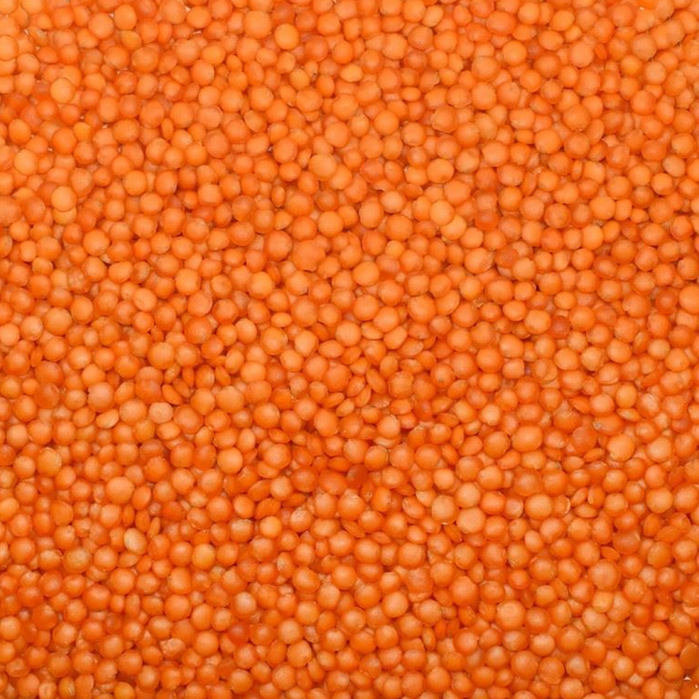 Kırmızı Futbol Mercimek (Yerli Ankara Cila)