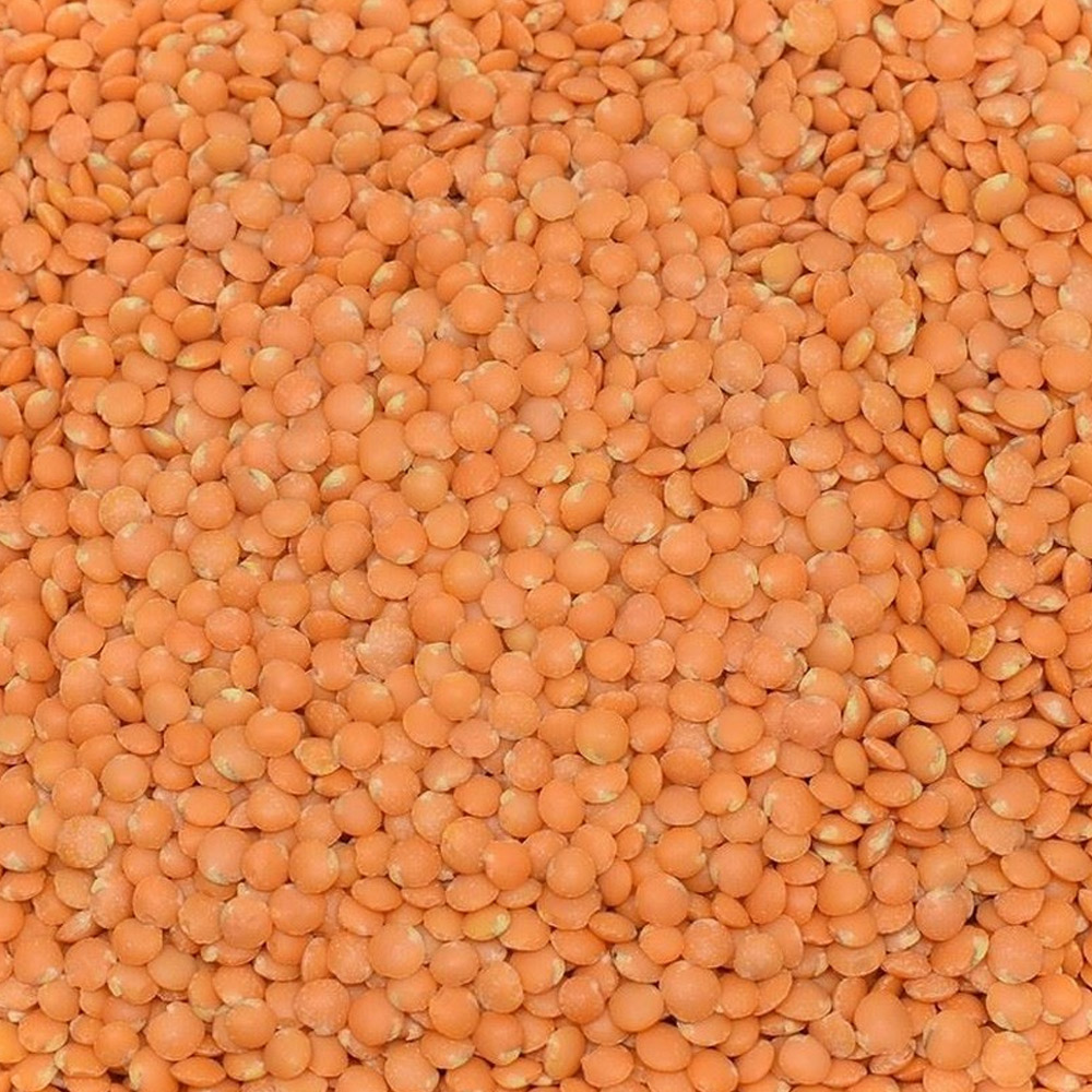 Kırmızı Yaprak Mercimek (İthal Naturel)