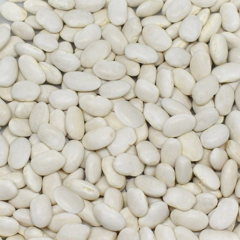 Dermason Fasulye (9mm)