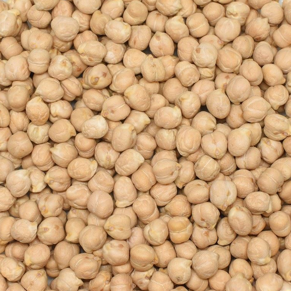 Chickpea 8.5 mm