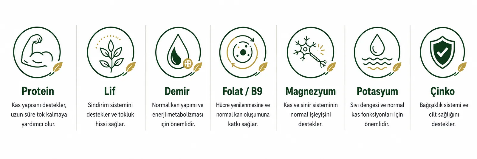 Besin Değerleri ve Faydaları
