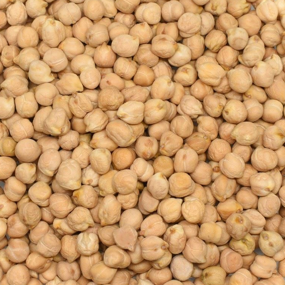 Nohut 7 mm