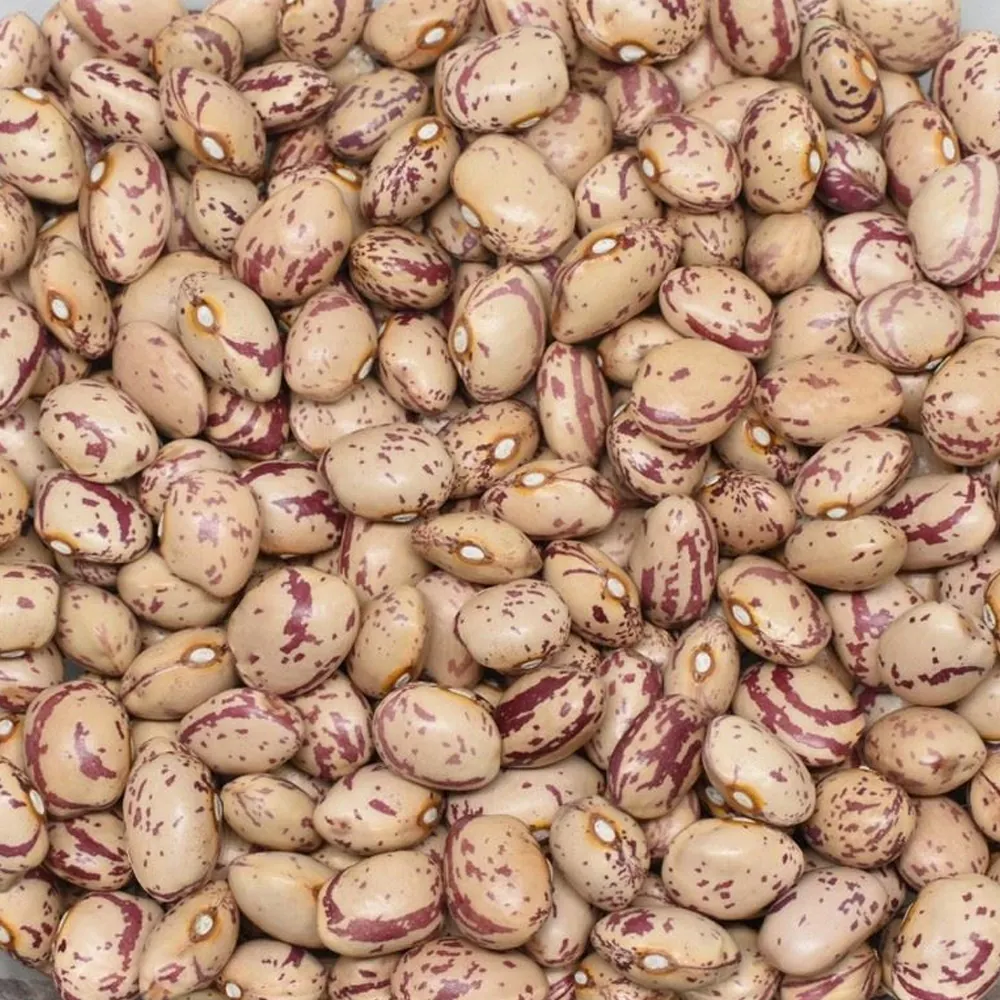 Kiraz Cranberry Beans