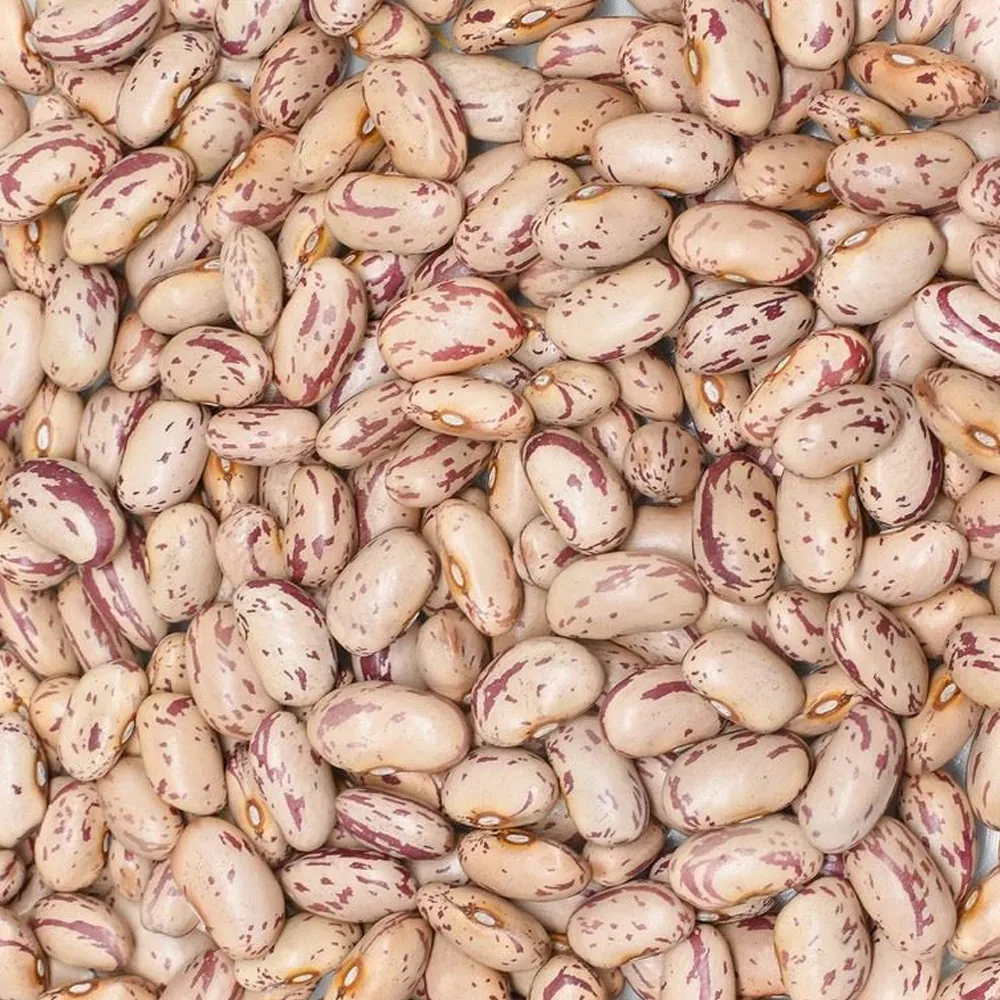 Sırık Cranberry Beans