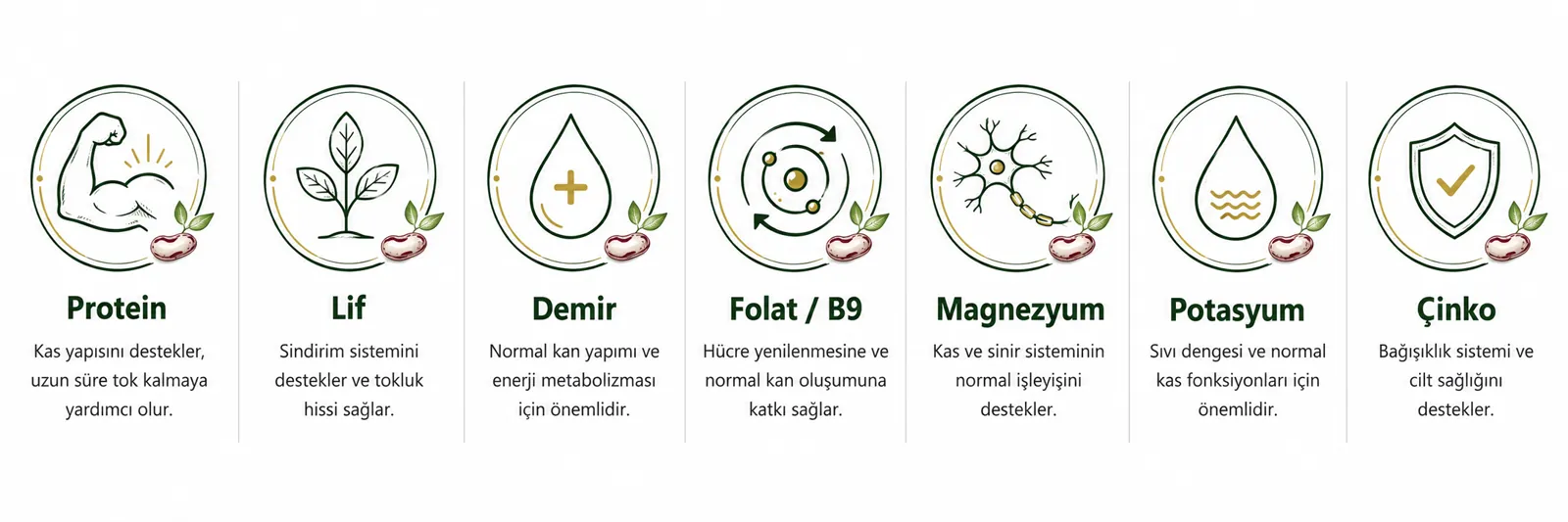 Nutritional Values and Benefits