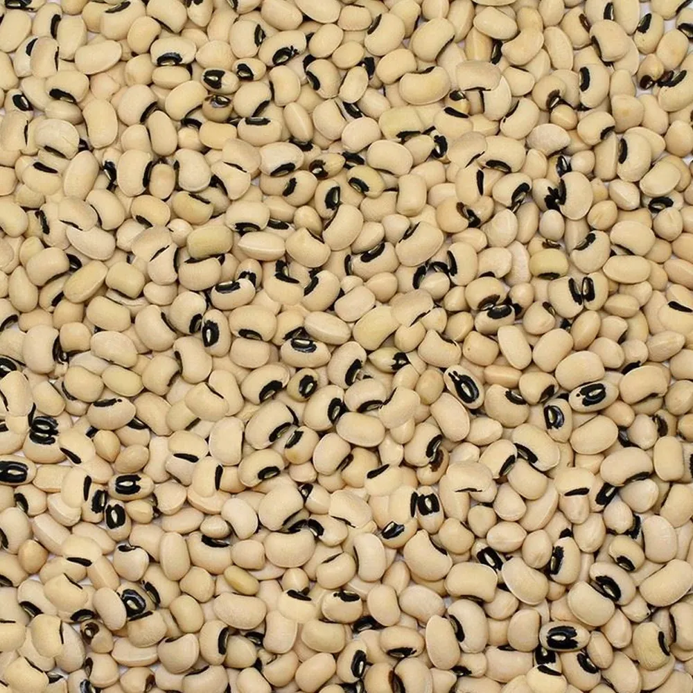 Börülce