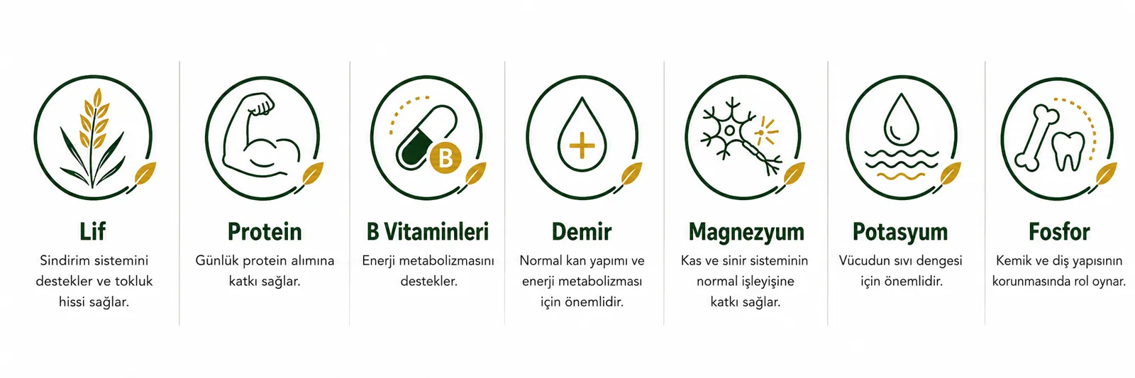 Nutritional Values and Benefits