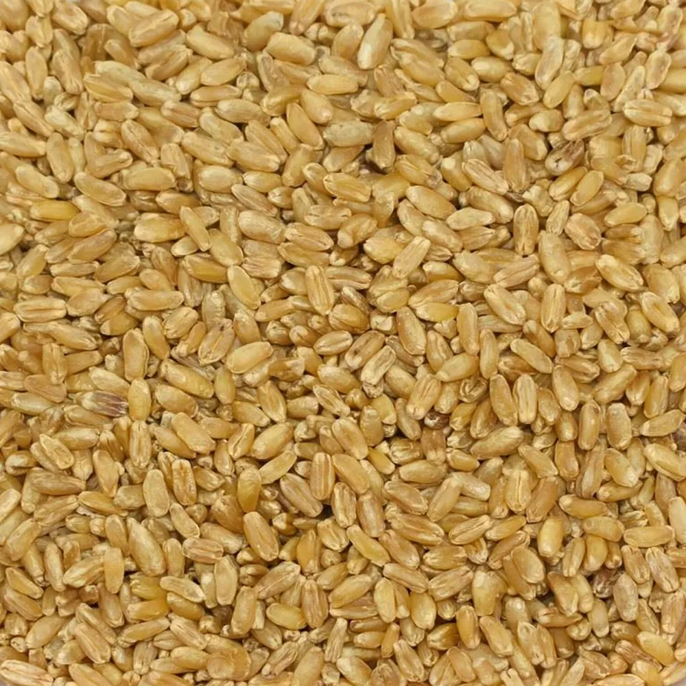 Hediklik Wheat