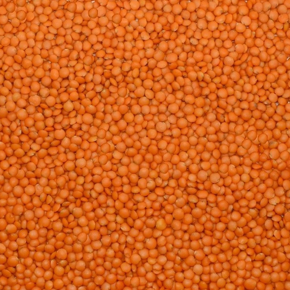 Red Football Lentil (Local Istanbul Polished)