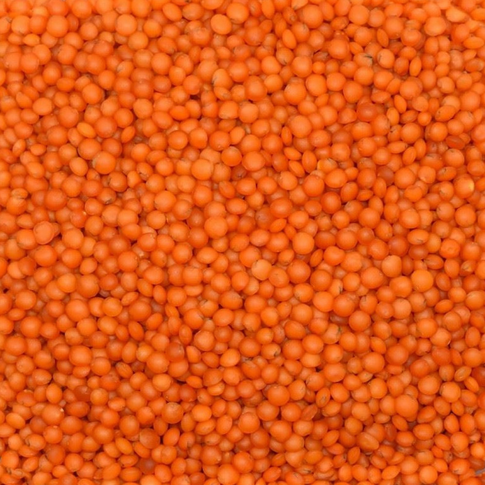 Red Football Lentil (Local Izmir Polished)