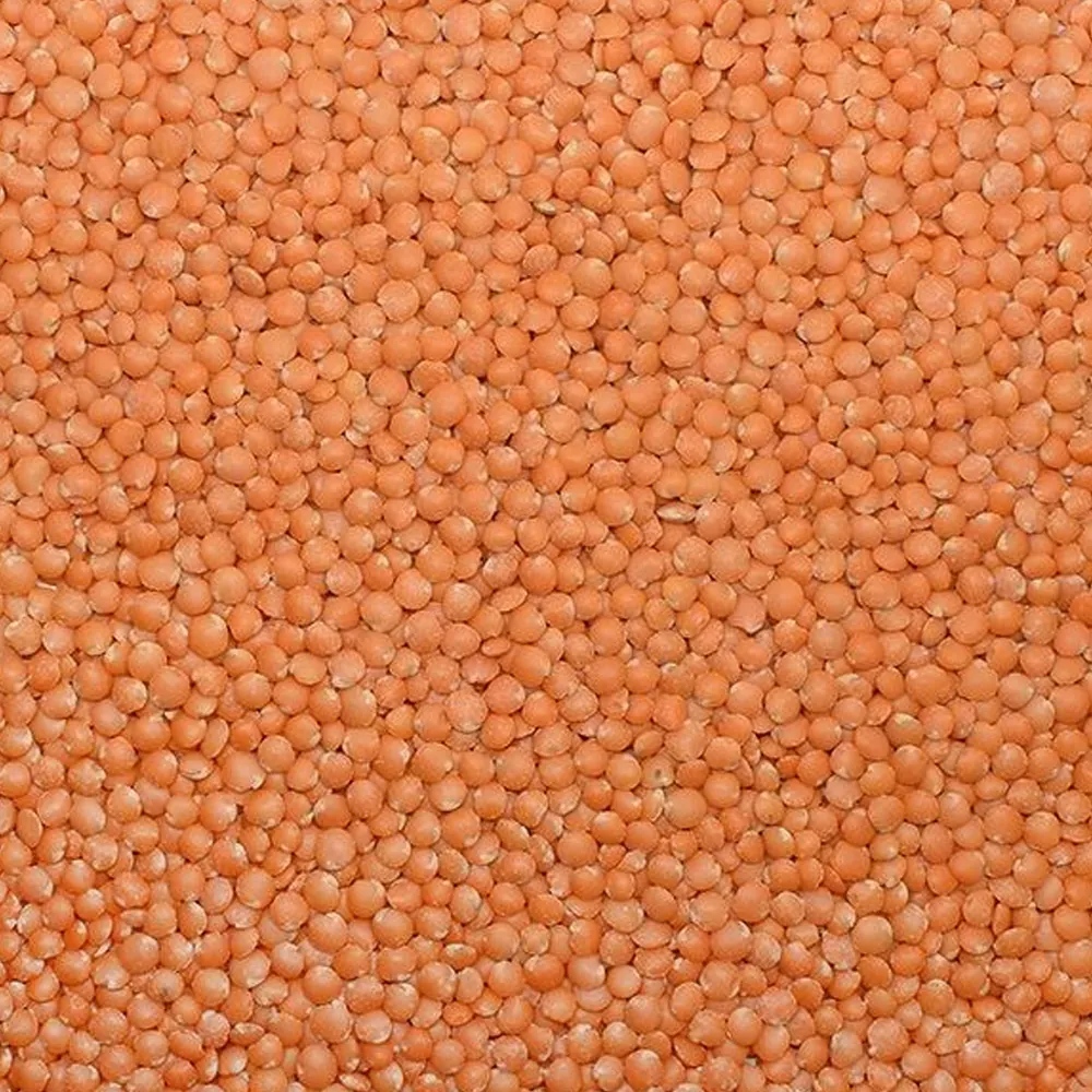 Red Football Lentil (Local Natural)
