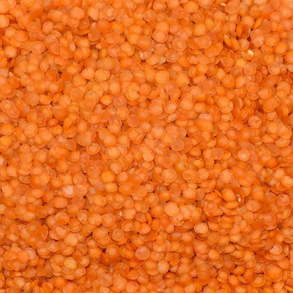 Red Leaf Lentil (Imported Izmir Polished)