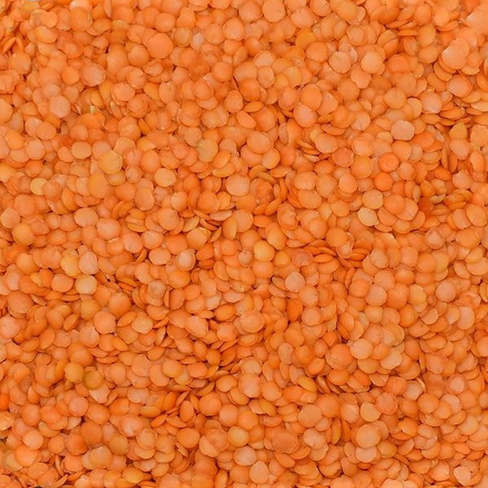 Red Leaf Lentil (Local Istanbul Polished)
