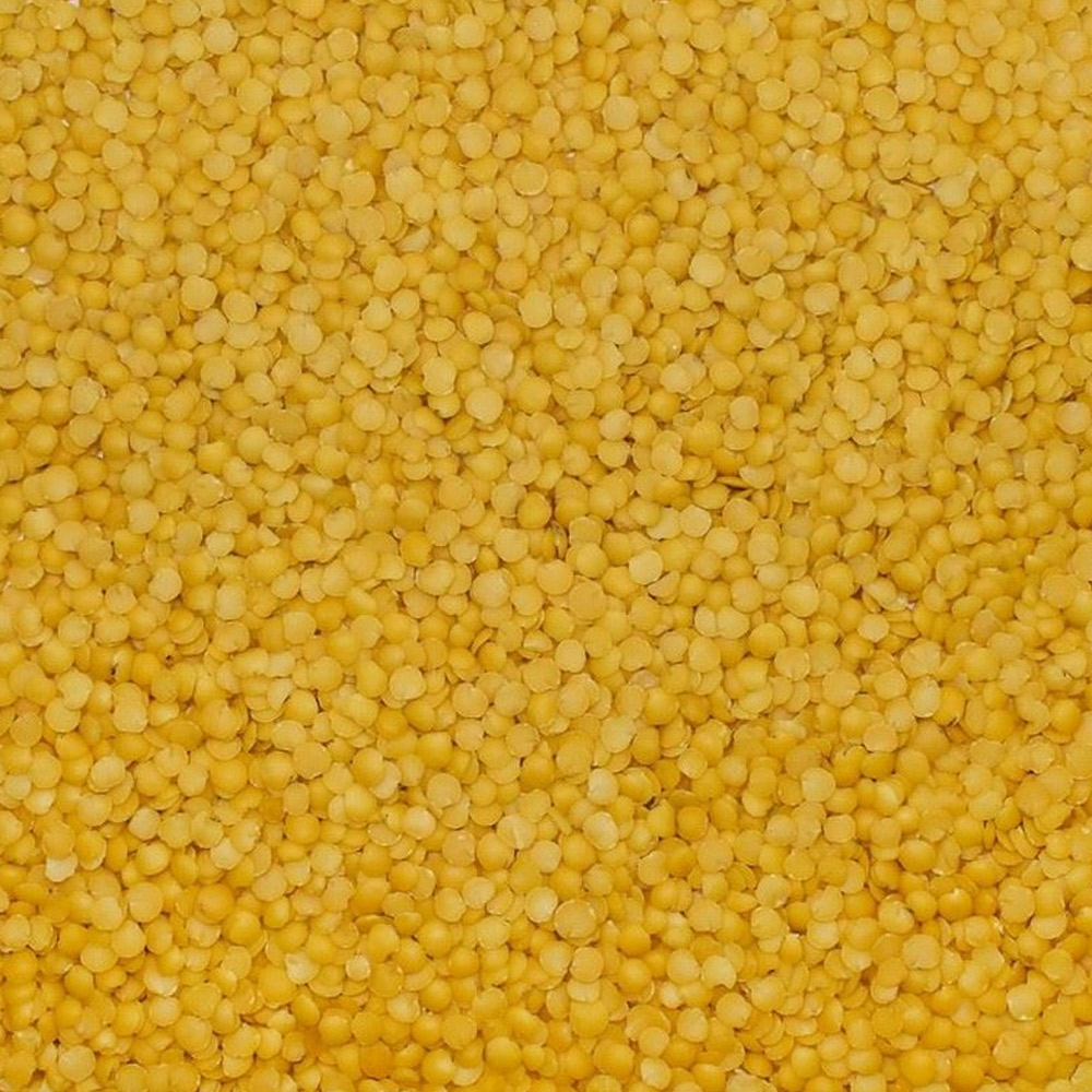 Yellow Leaf Lentil