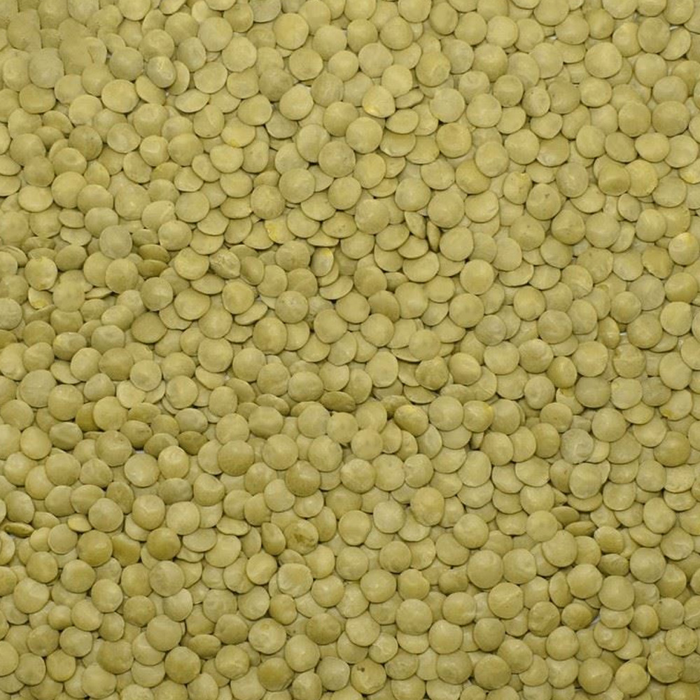 Green Lentil (6.5-7mm)