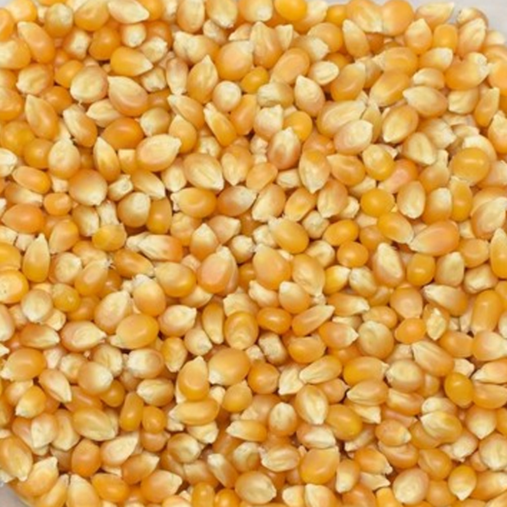 Popcorn