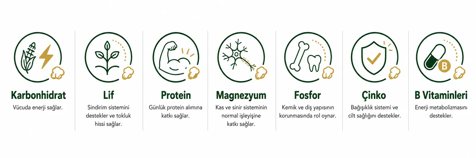 Nutritional Values and Benefits