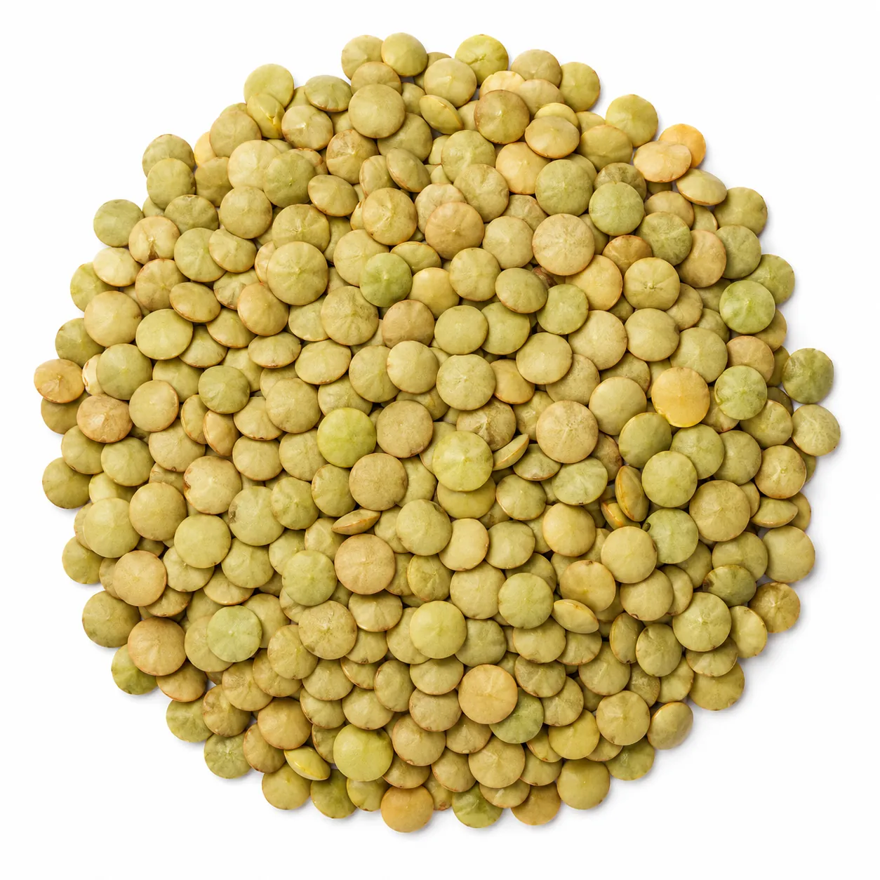 Karagül Green Lentil Seed