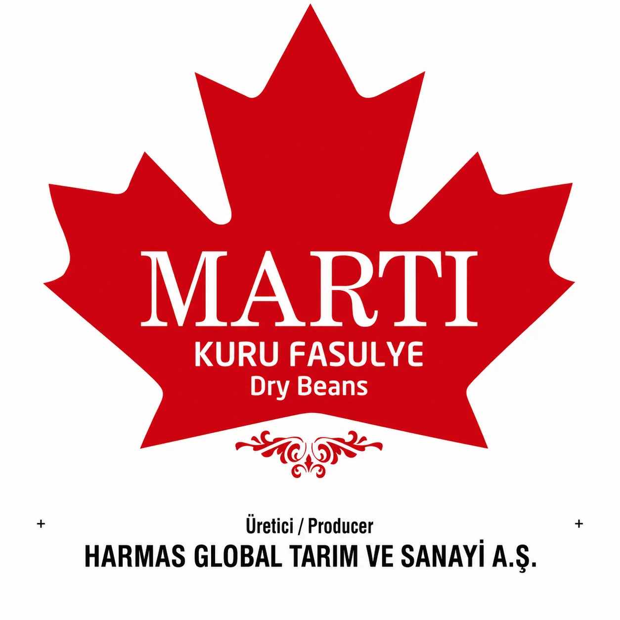 Martı Dry Beans Seed