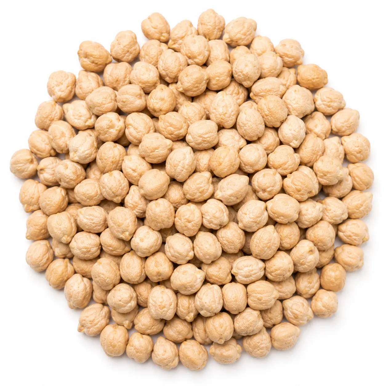Certified SARI 98 Chickpea Seed