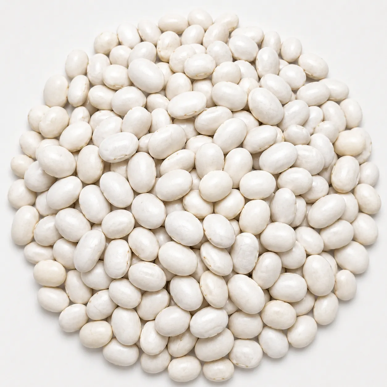İspir (Sugar) Dry Beans Seed