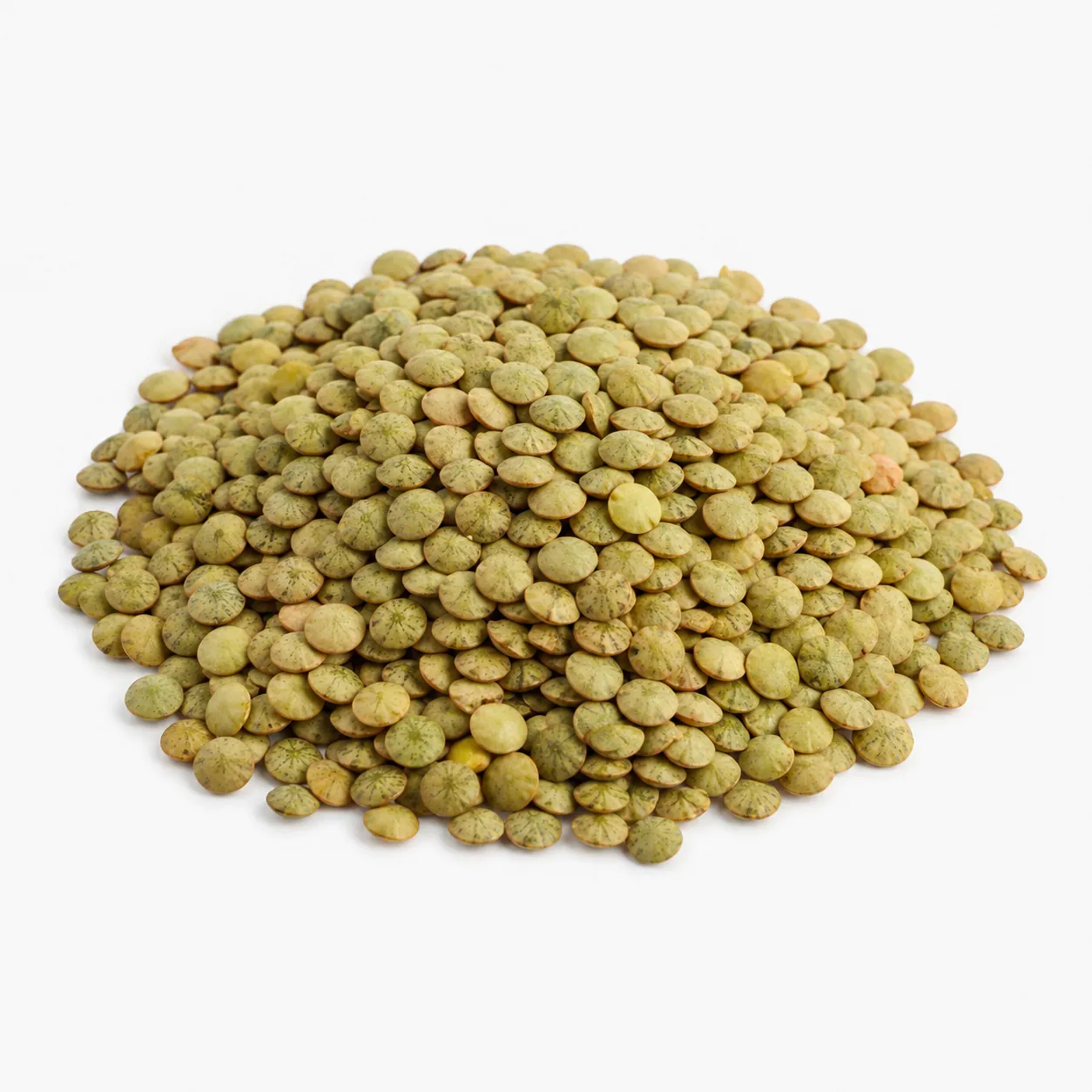 Certified Bozok Lentil Seed
