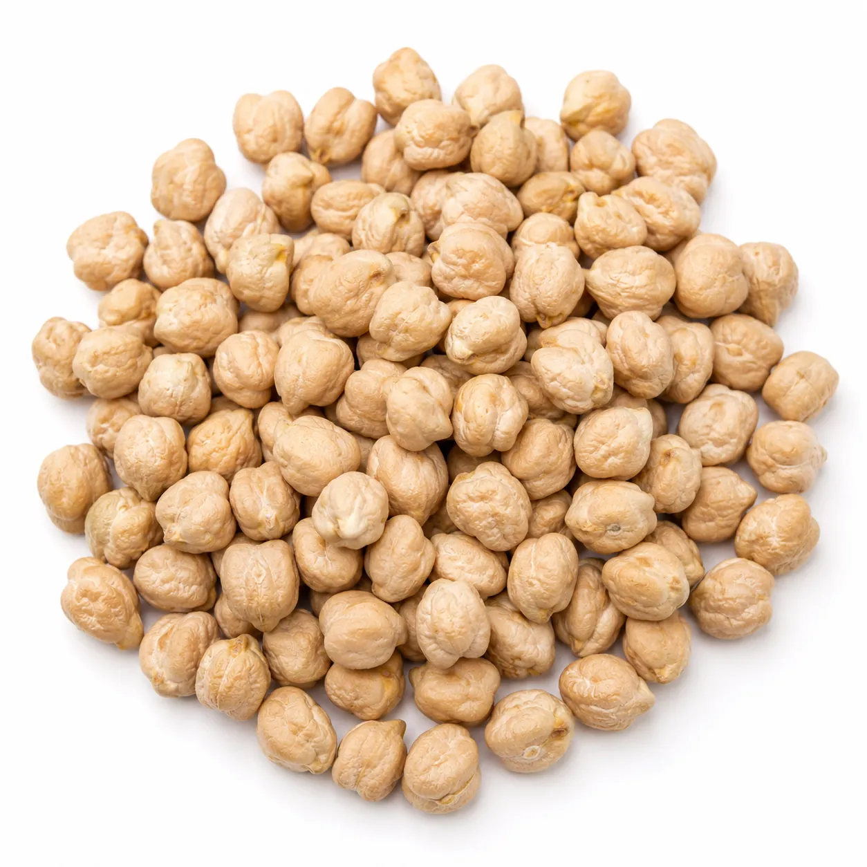 Certified AZKAN Chickpea Seed